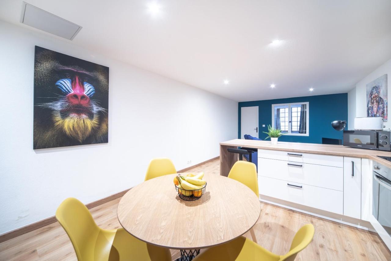 Appartement Pop Au Coeur Du Centre Ville Макон Экстерьер фото